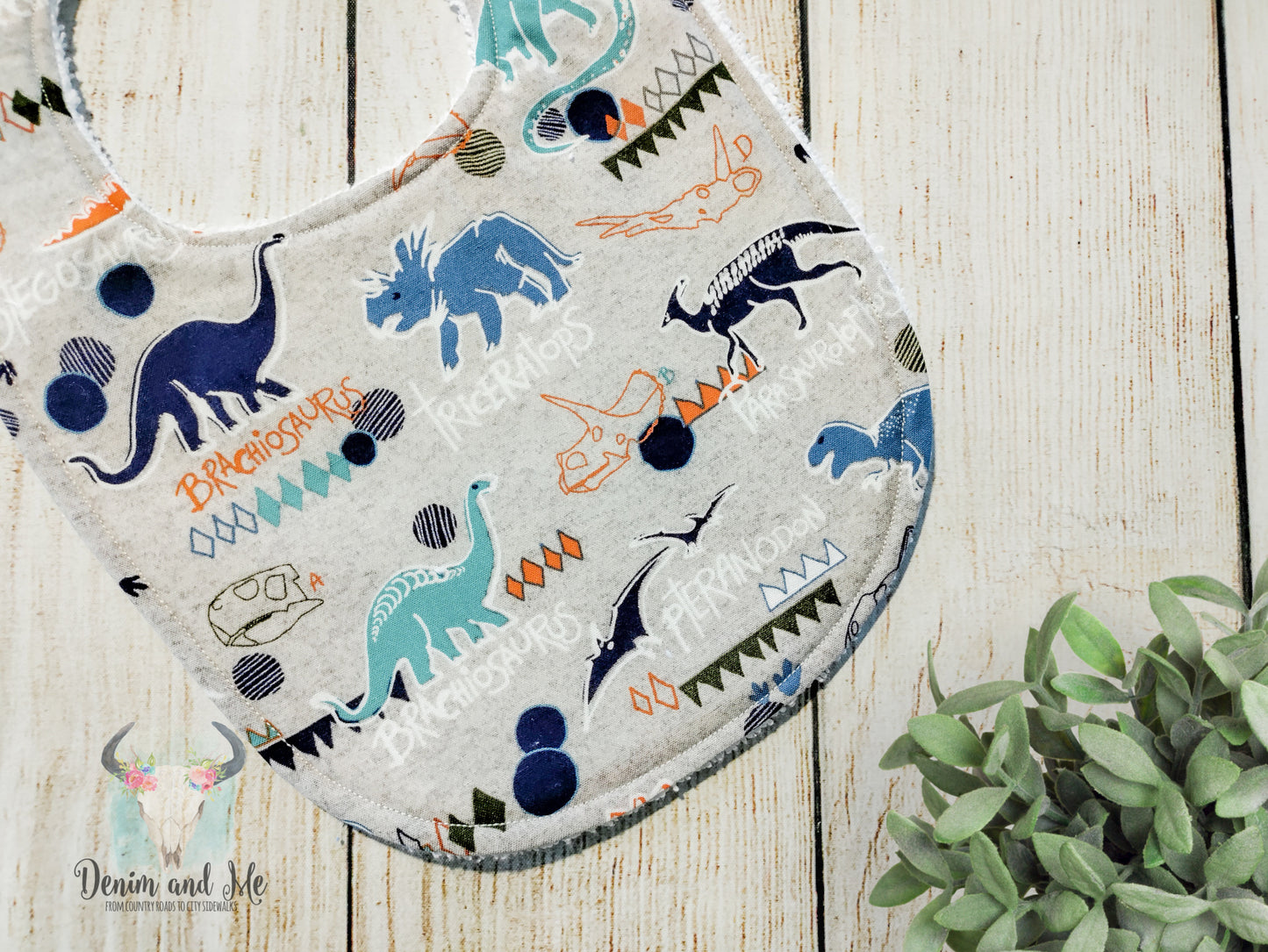 Triceratops Dinosaur Baby Boy Gift Set